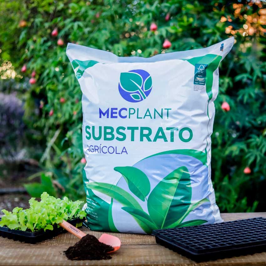 substrato